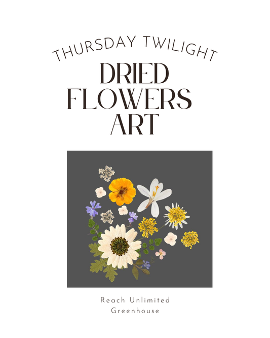 Flower Art Workshop