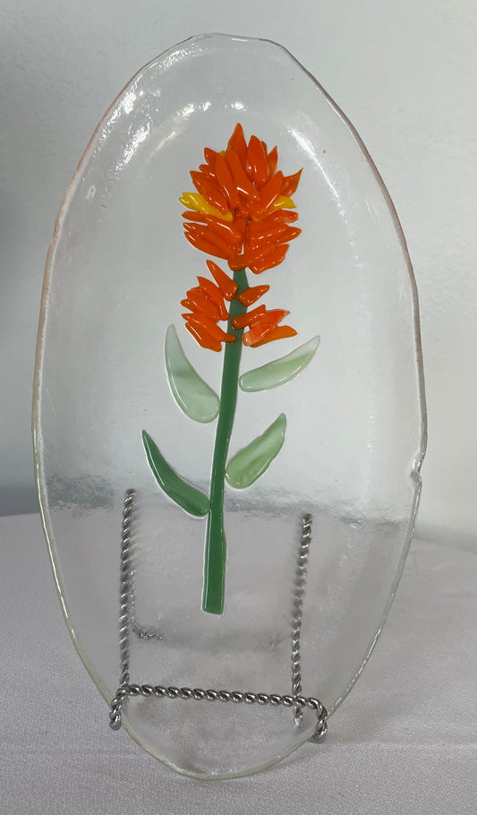 Indian Paintbrush Dish